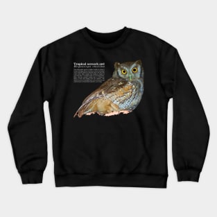 Tropical screech owl under a roof white text Crewneck Sweatshirt
